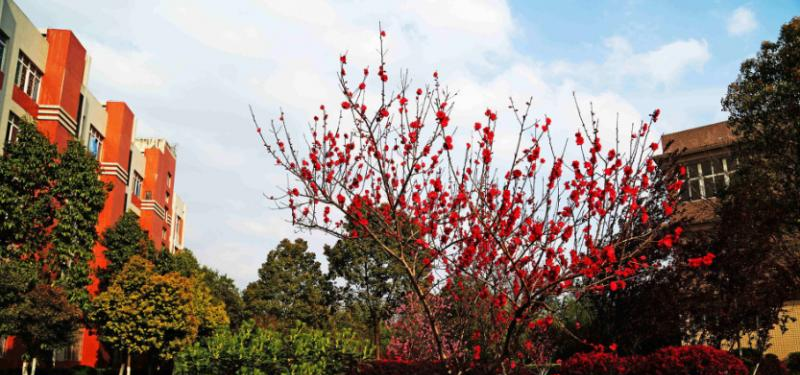 重庆万州技师学院