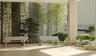 深圳美中校园一隅