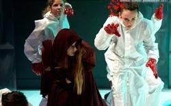 第欧瓦罗克斯学院