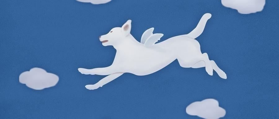 天津影视拍摄及后期学习