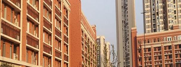 重庆史迪威外语学校高中部2020年招生办