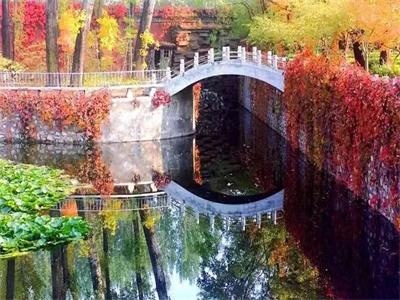 橘郡国际（北京校区）