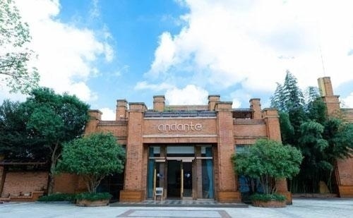 上海常青藤爱丹特托育园.jpg