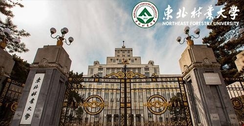 东北林业大学
