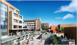 山东省青岛国际学校
