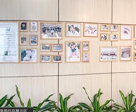 学员作品展示区