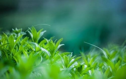 如何学会面对失败