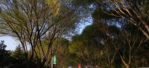 北京怀柔县职业高中