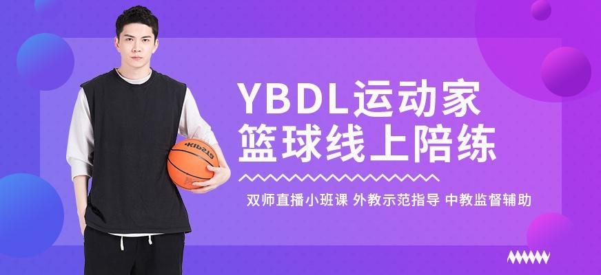 上海篮球线上陪练班