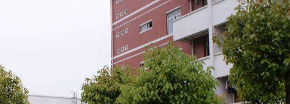 西安第七十五中学网站