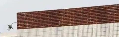 上海民办中芯学校初中部2023年学费标准2