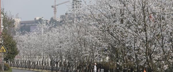 眉山职业技术学院五年制大专学校地址