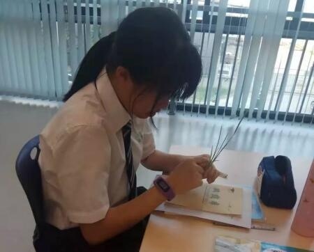 北京市房山区诺德安达学校