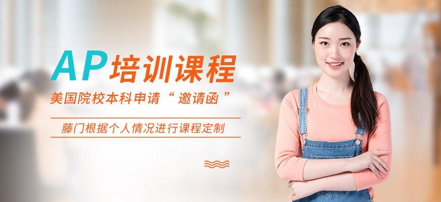 ap培训班