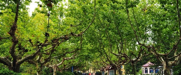 连云港市交通技工学校