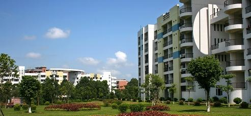 广州松田职业学院2020年招生办