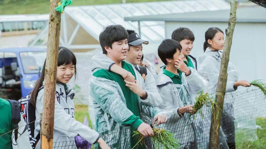 昆明青苗学校