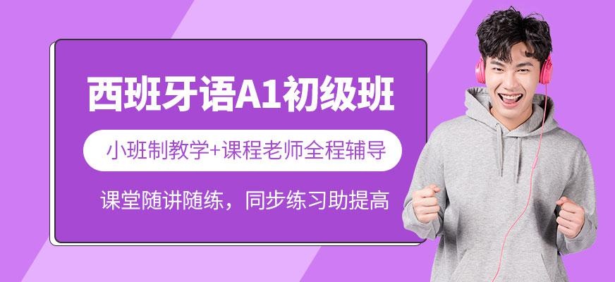 西班牙语A1初级班
