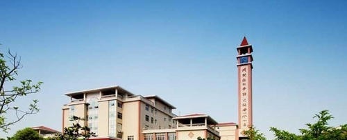 重庆城市管理职业学院五年制大专2019年招生代码