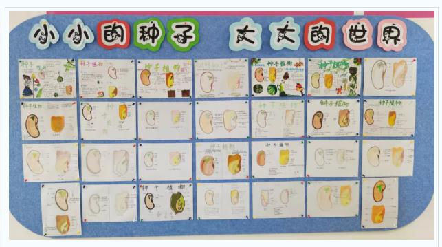 中关村外国语学校