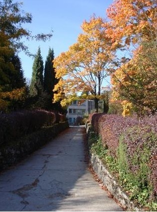 巴黎第十一大学