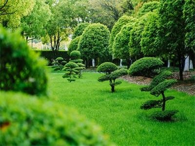 上海天华英澳美国际学校（上海BANZ）