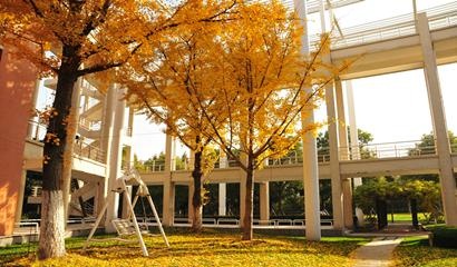 华东师范大学第二附属中学国际部
