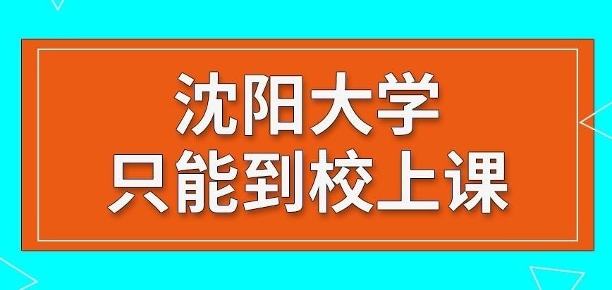 沈陽大學在職研究生除了到校學習還有別的學習方式嗎