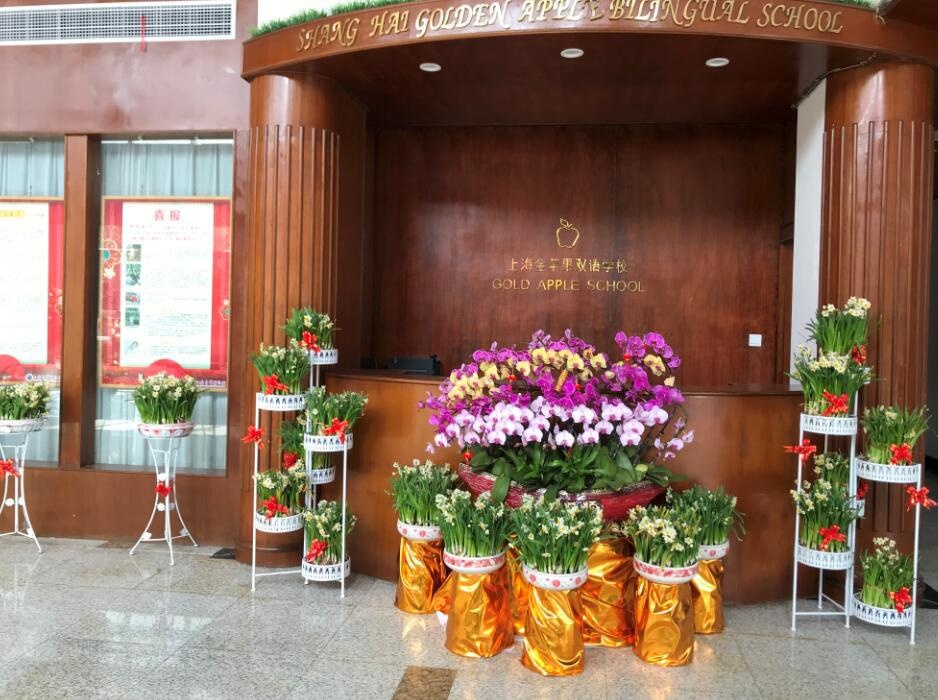 上海金苹果双语学校.jpg