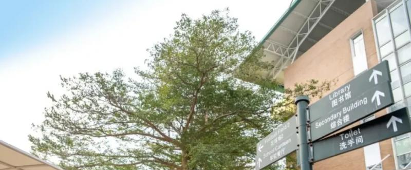 广州誉德莱国际学校小学部2023年课程体系