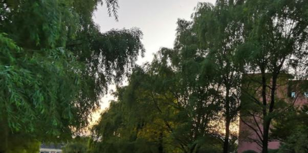 贵州工商职业学院