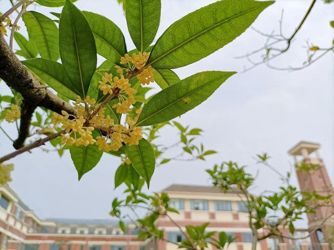 /school/liuyan/1583.html
