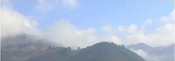 金平县职业高级中学