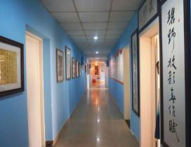 成都蓝天书画院