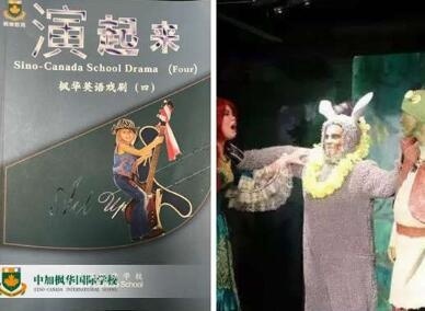 中加枫华国际学校小学初中全新新课程体系攻略