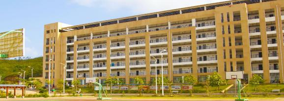 广西国际商务职业技术学院2020年有哪些专业