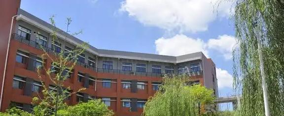 武汉中学国际部靠谱吗