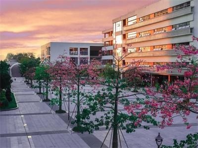 广外附设大亚湾外国语学校国际部