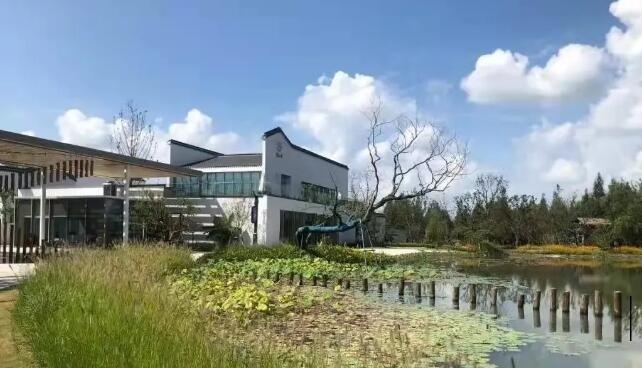 中加枫华国际学校