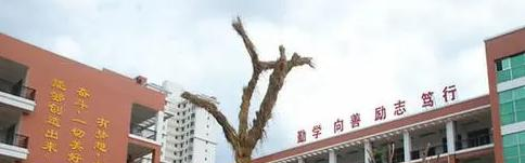 海口市琼山华侨中学