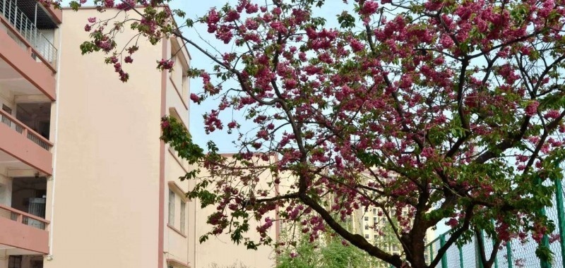 20180121164940_xya4fxkv13