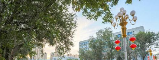 新疆农业大学是211还是985(新疆农业大学）