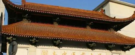 湖南中医药大学湘杏学院是不是985大学?