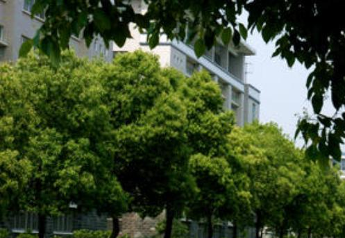 河南郏县科技中等专业学校2021年报名条件、招生要求、招生对象