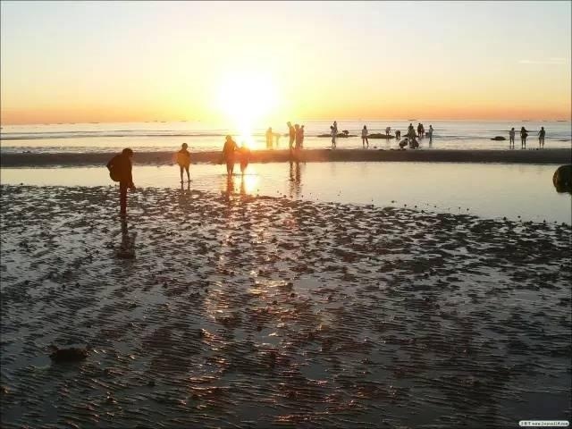 图片_20170610112635