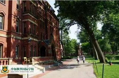 US.News全美以实习见长的大学top10:你的目标院校在里面吗?