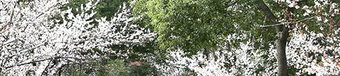 宁波技师学院4