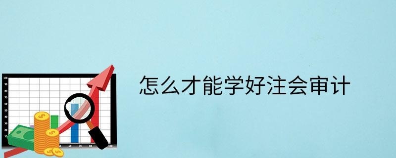 怎么学好注会审计