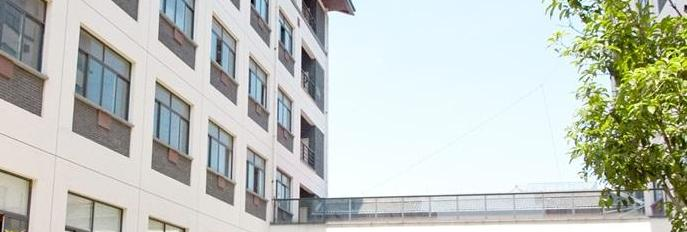 浙江常春藤国际高中网站