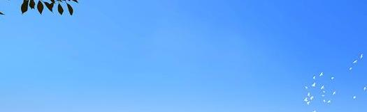 绵阳富乐国际学校初中部怎么样、好不好